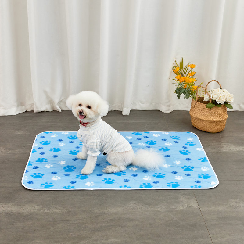 Tapis / tapis pour chien dressé Mclin Pet Pee