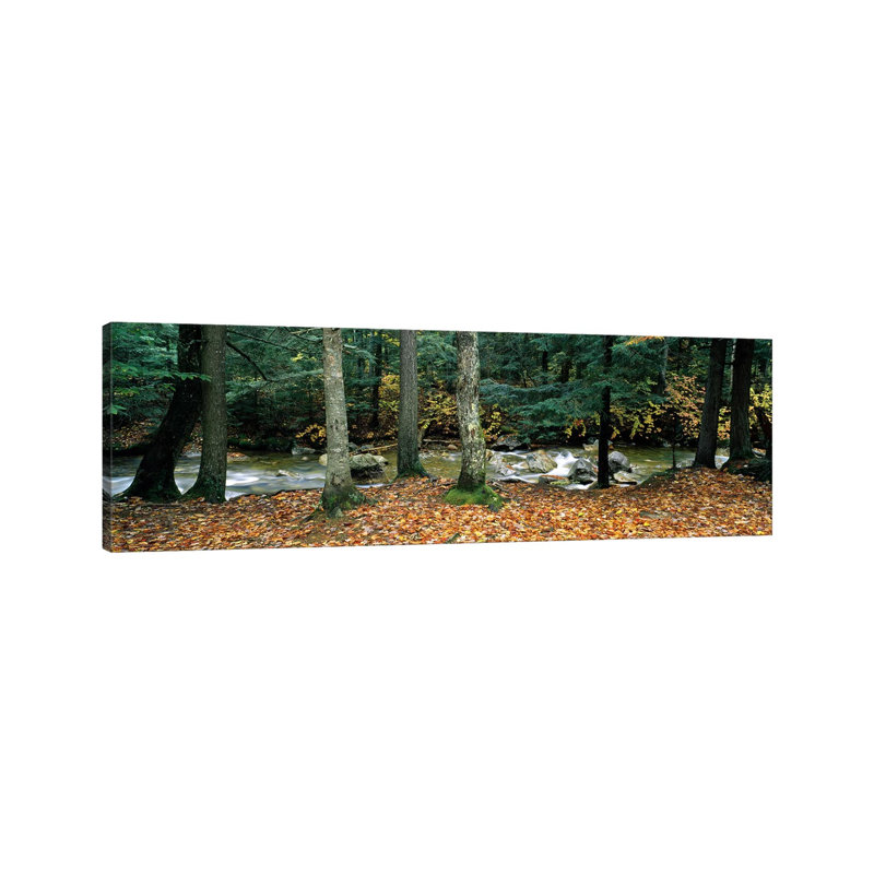 River Flowing Through A Forest, White Mountain National Forest, New Hampshire, USA - Wrapped Canvas Panoramic Print