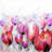 tulips field - 32"x32" art on canvas
