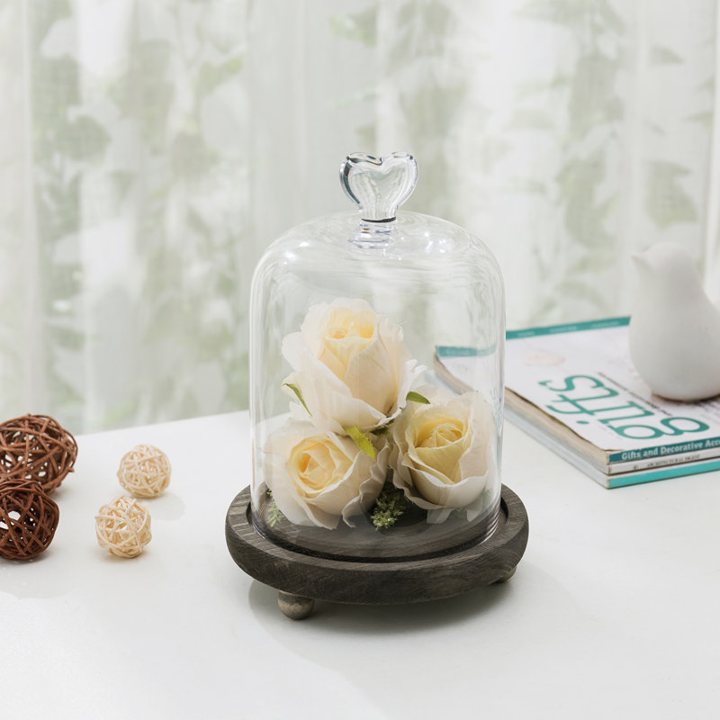 Mini Glass Dome Display Cloche