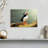 Brampt Proud Puffin-108127121