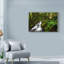 « moment de la nature », reproduction de photo sur toile tendue-33538674
