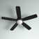 Swearengin 52'' Ceiling Fan with LED Lights