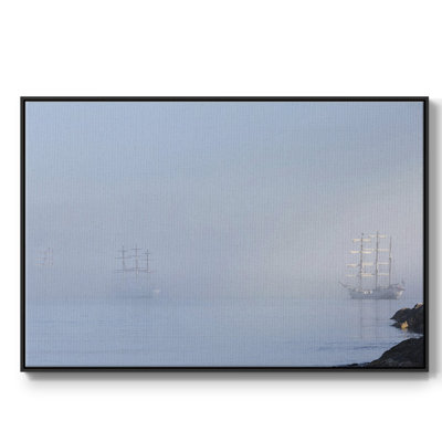 " In The Mist "