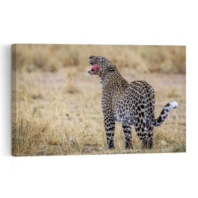 Yawning Leopard In Savanna Contemporary Cat Nature Wildlife Wall Art Print by Jeffrey C. Sink - 1 Piece Wrapped Canvas Wall Art