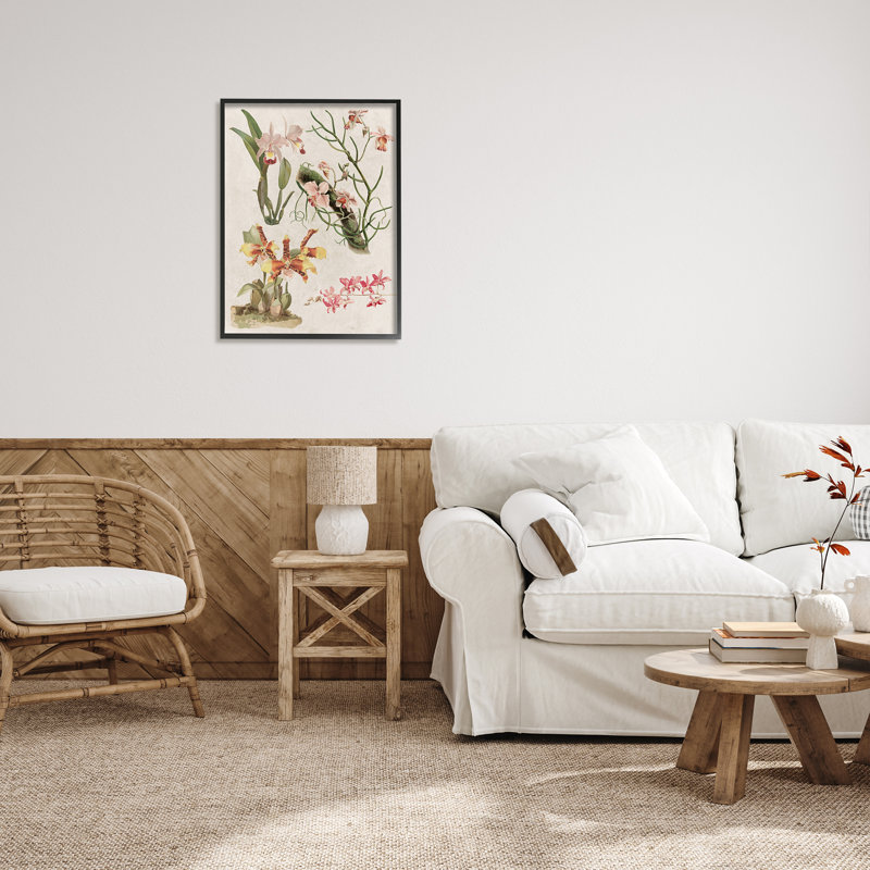 «Vintage Study Varied Flora» par Lil 'Rue - cadre flottant, impression sur bois, H 30 po x l 24 po x P 1,5 po