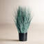 Faux Blue Oat Grass Grass in Pot