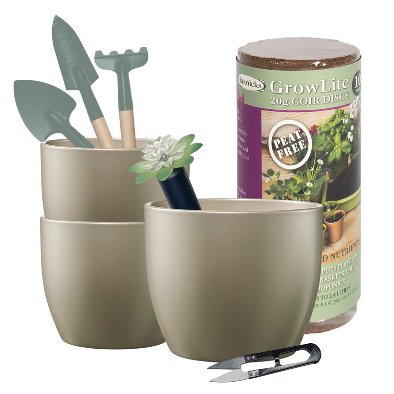 Basel Elegance Indoor Ceramic Pottery Kit