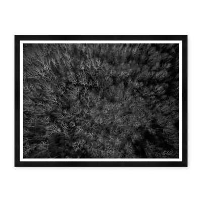 Among Static Pines I Framed Photographic Print