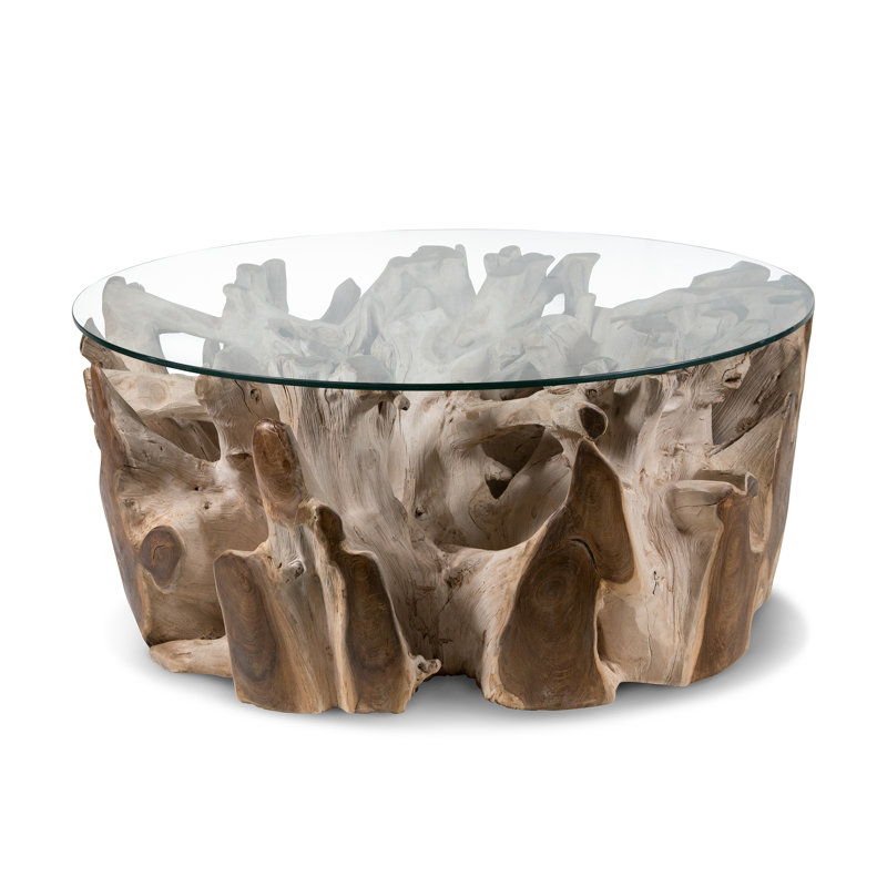 Bleach Glass Top Single Coffee Table