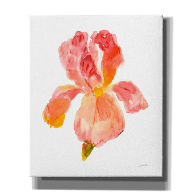 «Sunset Blooms II» par Tim O'toole, art mural sur toile, H 24 po x l 20 po x P 0,75 po