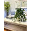 Jenner Faux Ivy Plant in Glass Vase