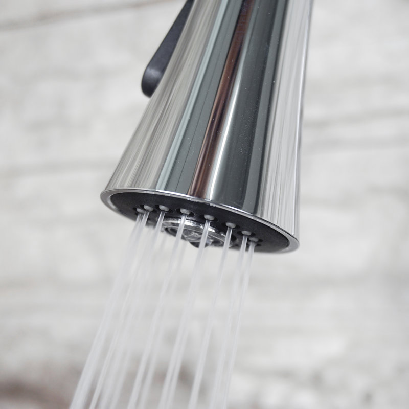 Belfry Kitchen Galvez Pull Out Kitchen Faucet