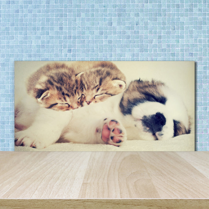 Linnis 50cm W x 100cm L Glass Peel and Stick Panel