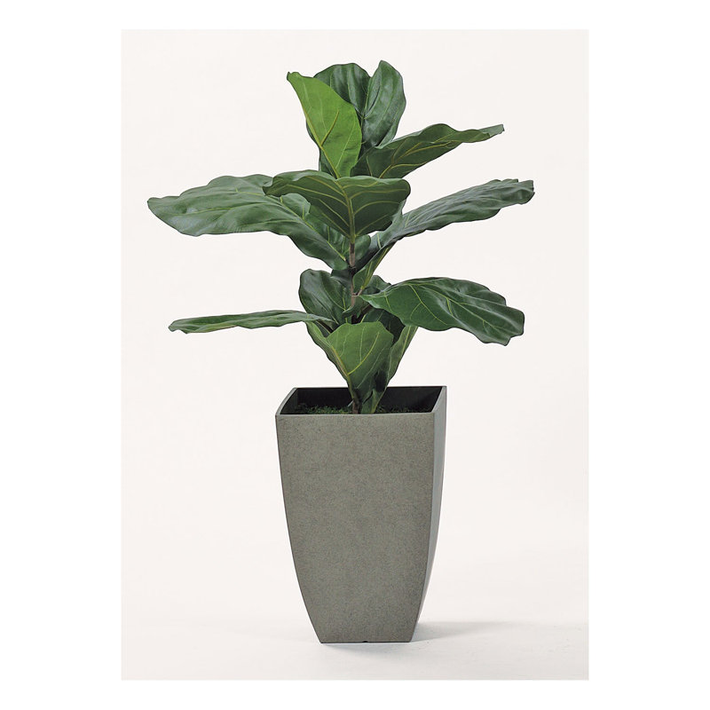 Faux plante de sol en pot gris