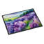 Paillasson aquarelle New Hampshire-1877956588