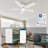 Mariyanka 48'' Ceiling Fan with LED Lights-939926749