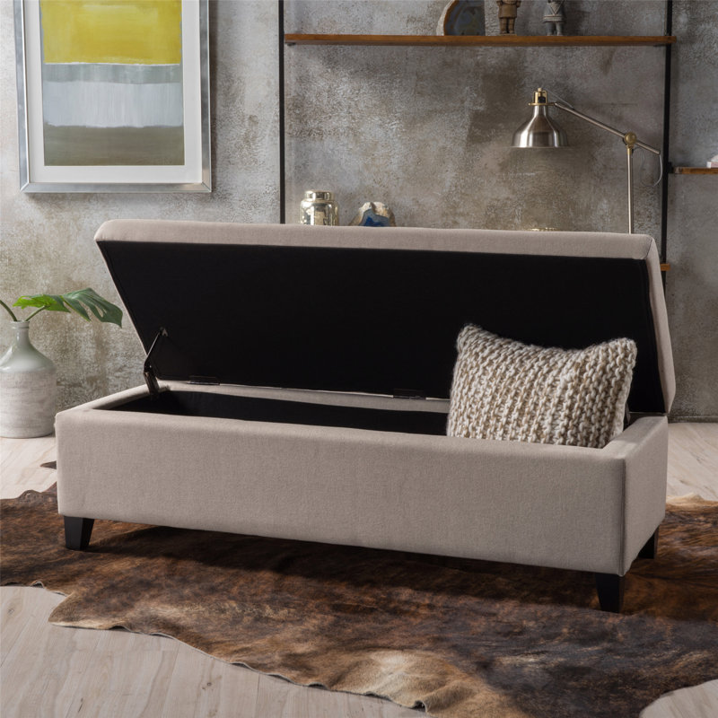 Repose-pieds de rangement contemporain avec grand espace et dessus rembourré