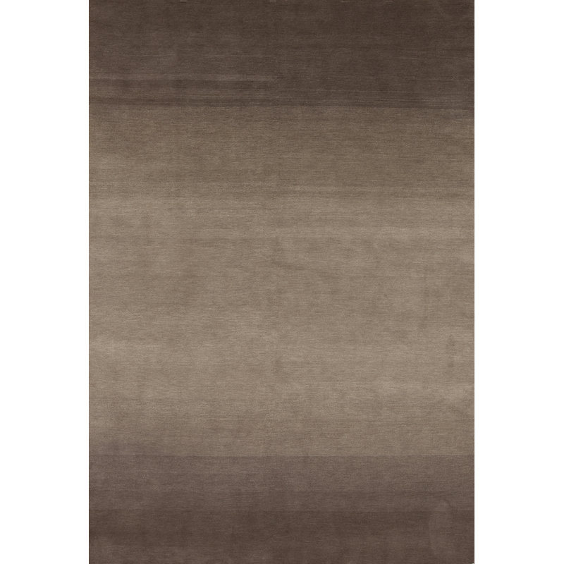 Modern Tibet Hand Knotted Indoor Rug