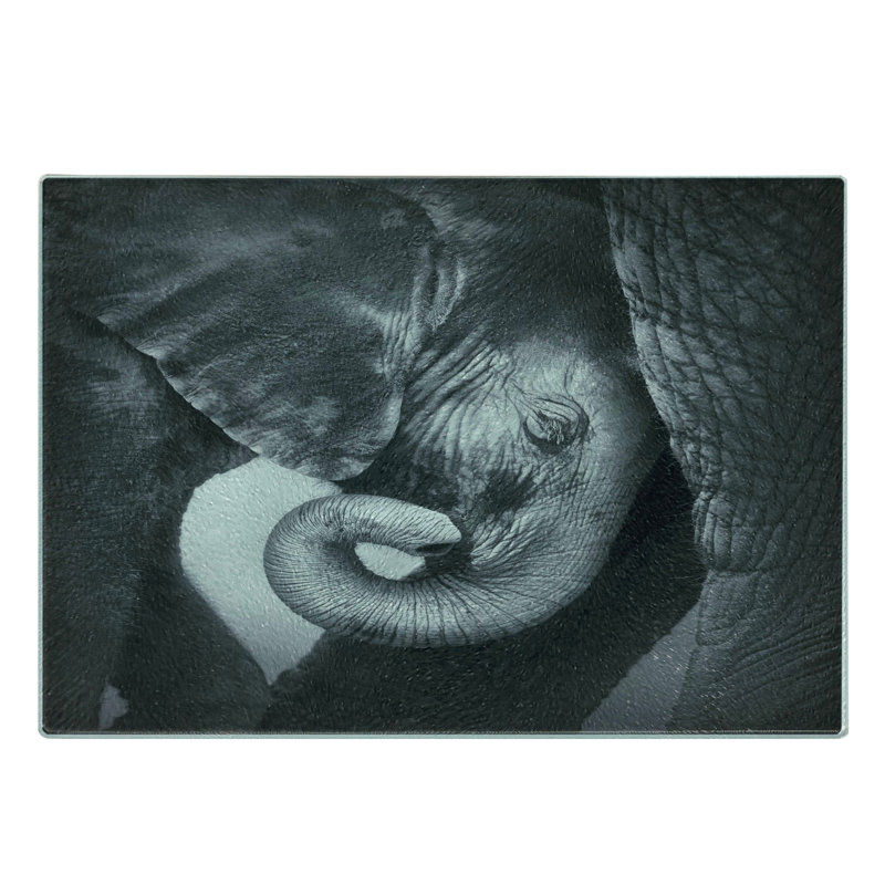 Planche à découper Ambesonne en verre trempé gris mère et gris anthracite