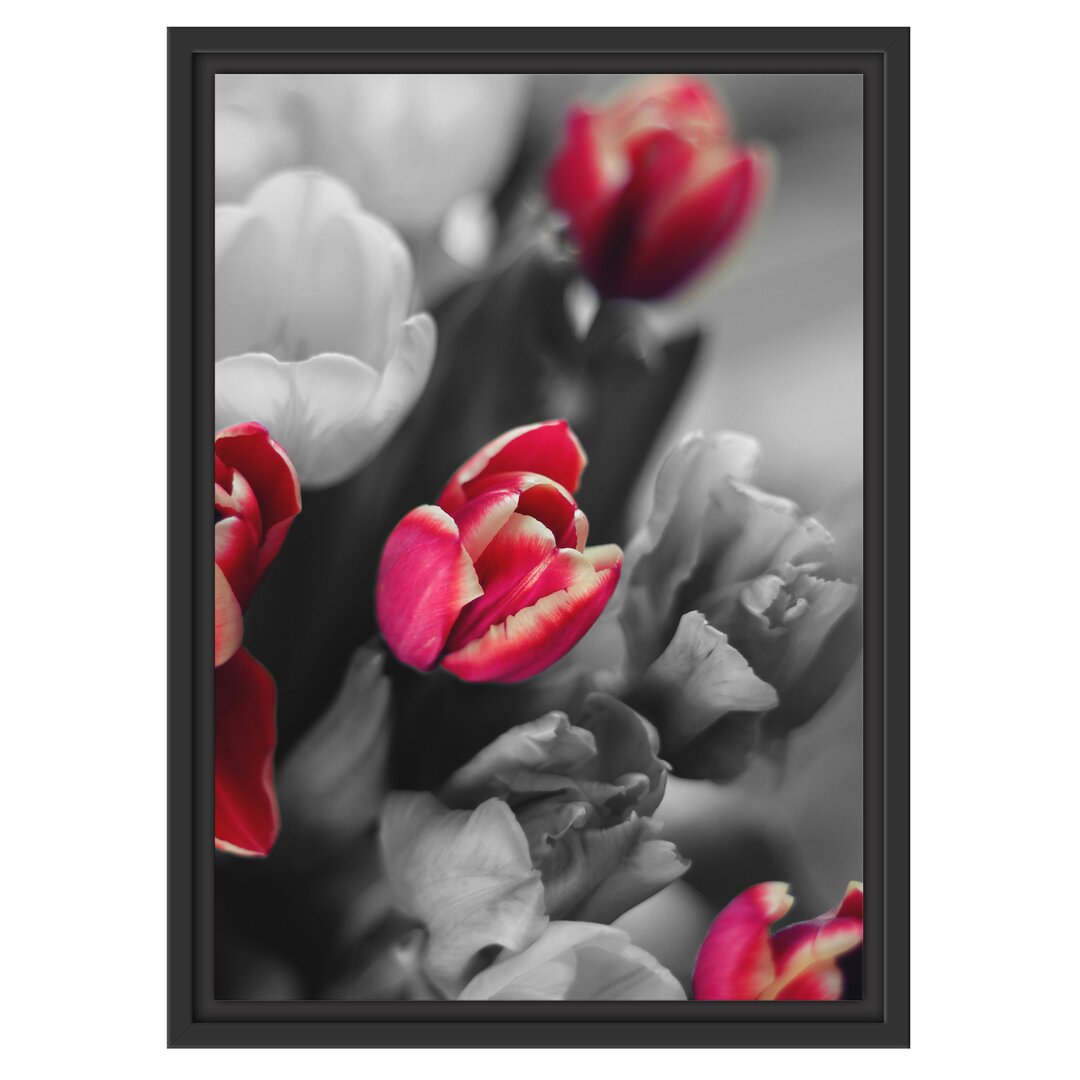 Gerahmtes Wandbild schöner Tulpenstrauß