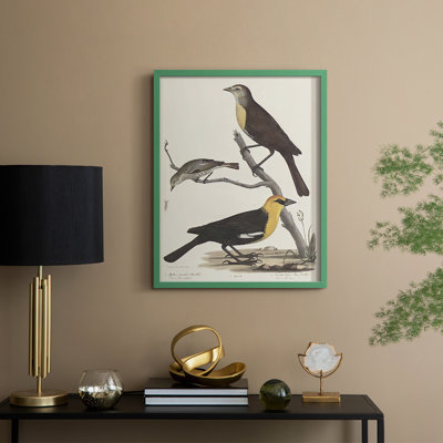 Vintage Animal Print XVIII Framed Print - Solid Wood
