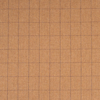 Tissu de fenêtre Schumacher x Patterson Flynn Thompson Merino