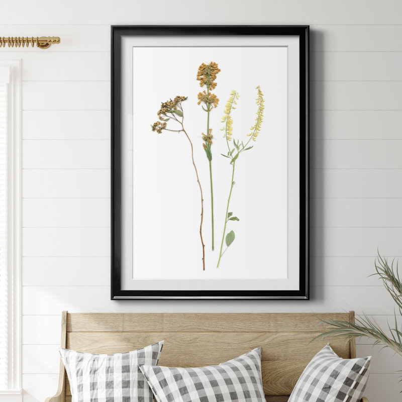 Pressed Botanical III par J Paul - reproduction de cadre photo, H 30,5 po x l 42,5 po x P 1,5 po, Cadre noir