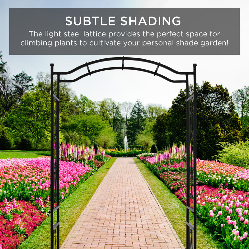 Black Steel Garden Arch Arbor with Wire Lattice for Climbing Plants