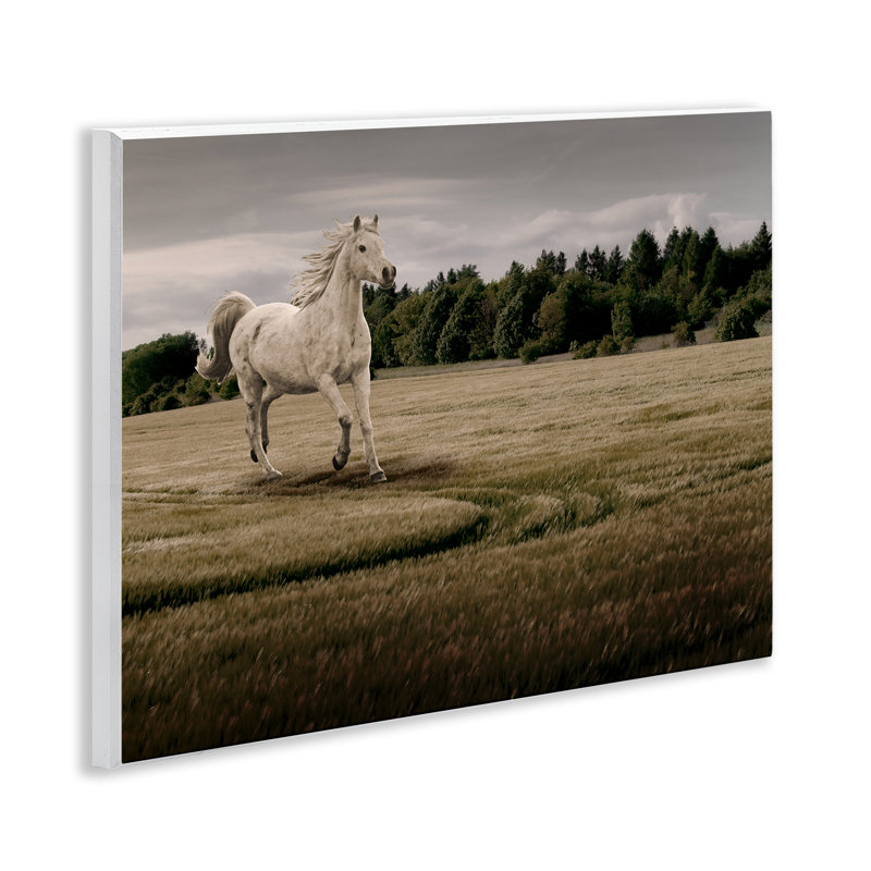 Plaque murale galopant à cheval, design par Marcus Prime