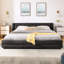 Base de lit rembourrée confortable-2128103417