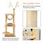 Tena 124 cm H Cat Tree / Condo-1511685827