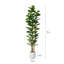Figuier artificiel Adarna 84 po avec feuilles réalistes et tronc naturel, arbre en pot-212896211