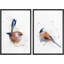 «Pastel Watercolor Explosion Country Bird», 2 pièces-98554261-98554262