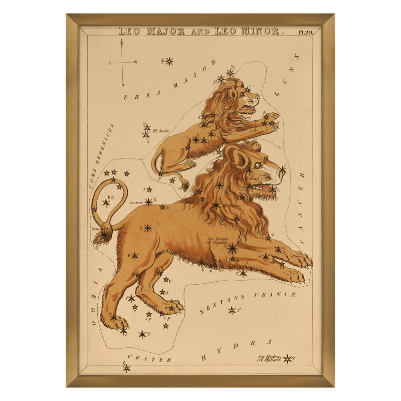 Leo Print by Grand Archives, Gold Framed, 32" H x 23" W