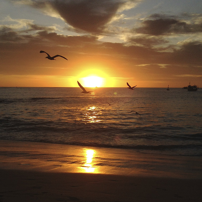 Coucher de soleil - Porto Beach - Photographie sur toile tendue, L 12 po x H 12 po