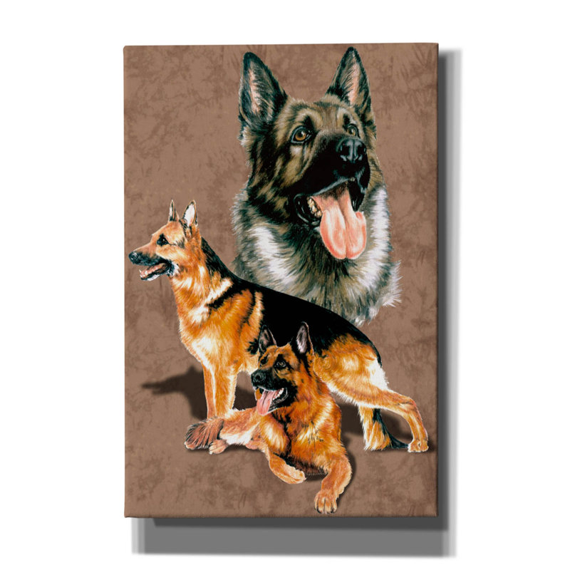 «Kaydience German Shepherd on Canvas» par Barbara Keith, reproduction, H 18 po x l 12 po x P 0,75 po