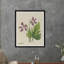Purple Petals Print