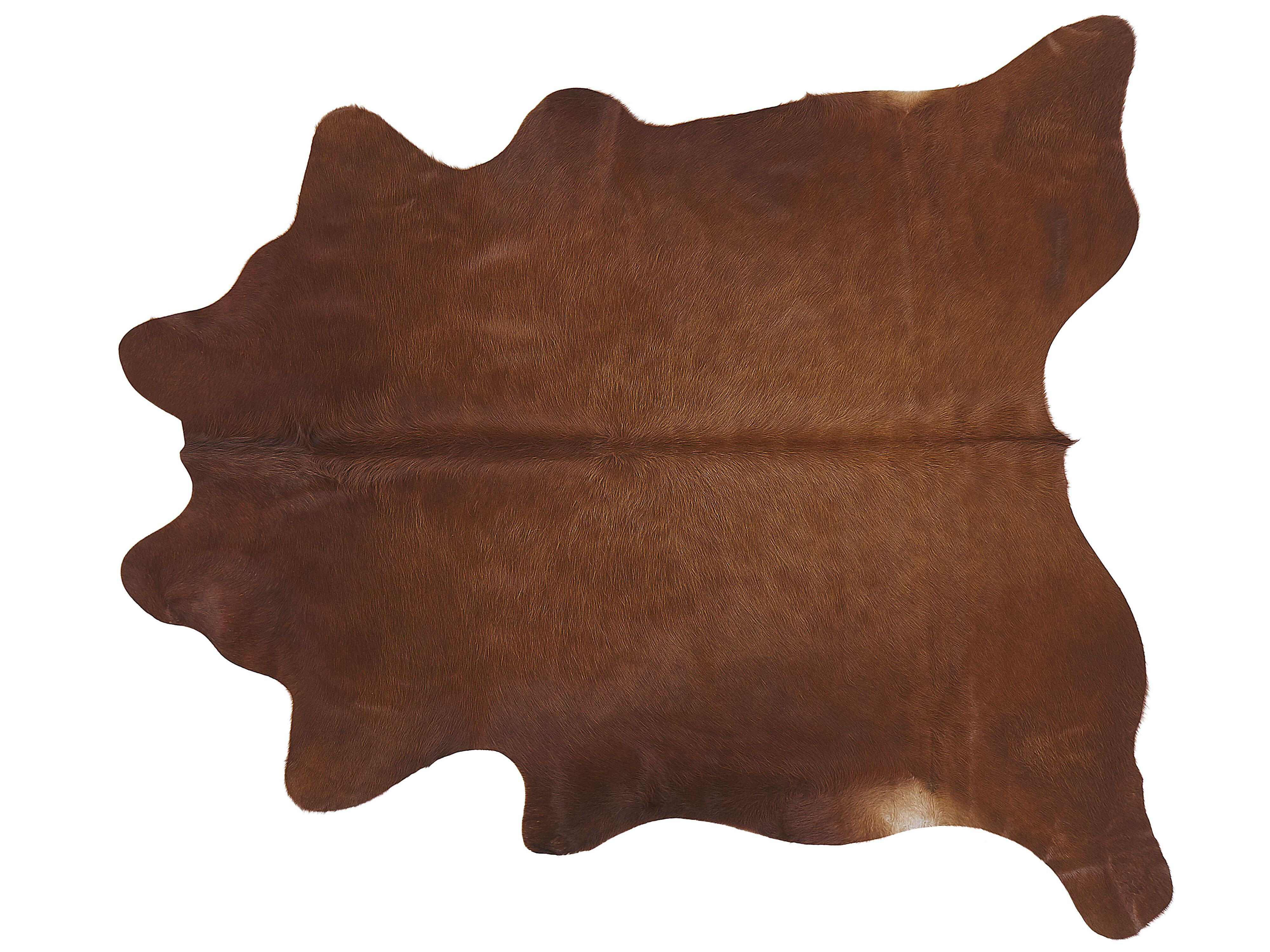 Union Rustic Stali Cowhide Brown Rug | Wayfair.ie