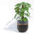 Pot Planter-67182933-67182934-69263628