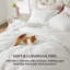 Ensemble de housse de couette Bedure-109947905
