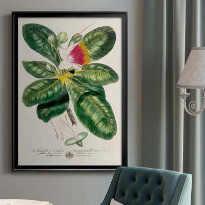 " Imperial Tropical Botanical I "