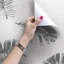 Gazon Matte Roll-1227228441