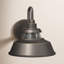 Troyer 1-Light Outdoor Wall Lantern-1995108941-1945962913
