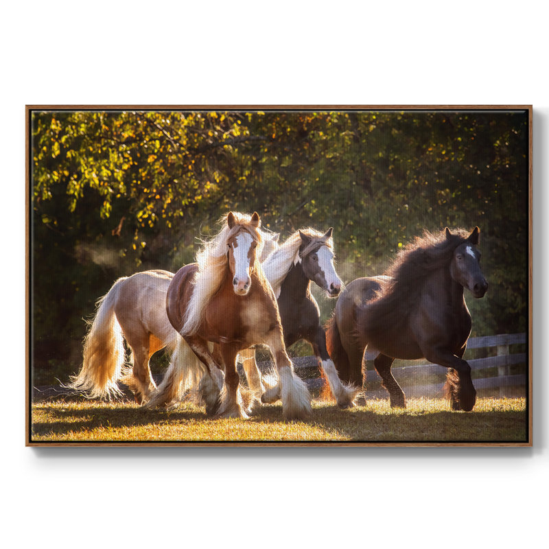 Sunlit Horses III, reproduction d'art sur toile encadrée, H 25 po x l 37 po x P 2 po, Noyer