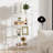Sylvius Bookcase-528477368-480260579