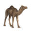 Décoration camel, sculpture réaliste de 9 pouces, bronze polyrésine