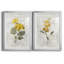 Canari lin géranium - ensemble de 2 reproductions d'art-328108084-328108083-328108094