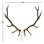 Elk Resin Wall Decor
