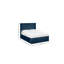 Upholstered Velvet Footboard Storage Ottoman Bed-1273265633-1273265634